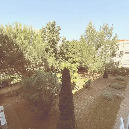 Nautilus * Novigrad (Istria)